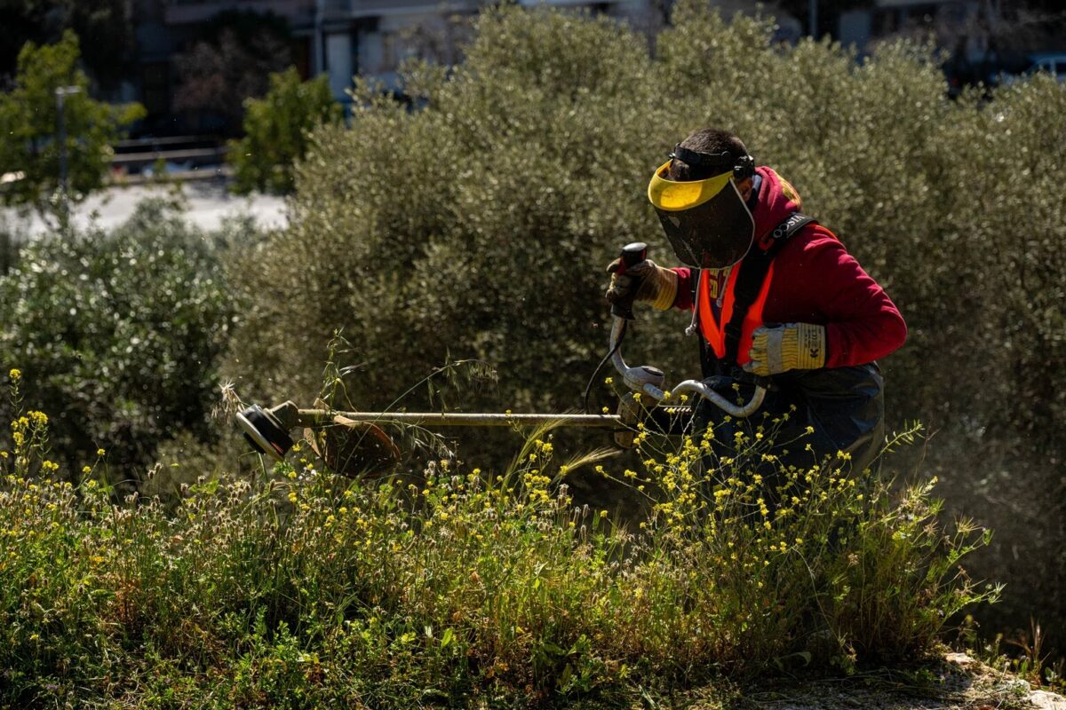 Καθαρισμός οικοπέδων: «Φρένο» υπουργείου στην παράταση – Στα ύψη τα πρόστιμα για τους ξεχασιάρηδες
