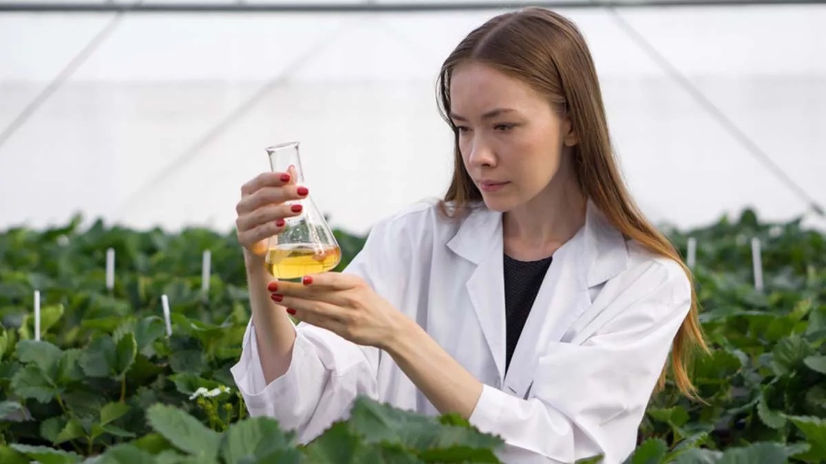 Το αρωματικό φυτό που βάζει φρένο στην ανάπτυξη καρκινικών κυττάρων