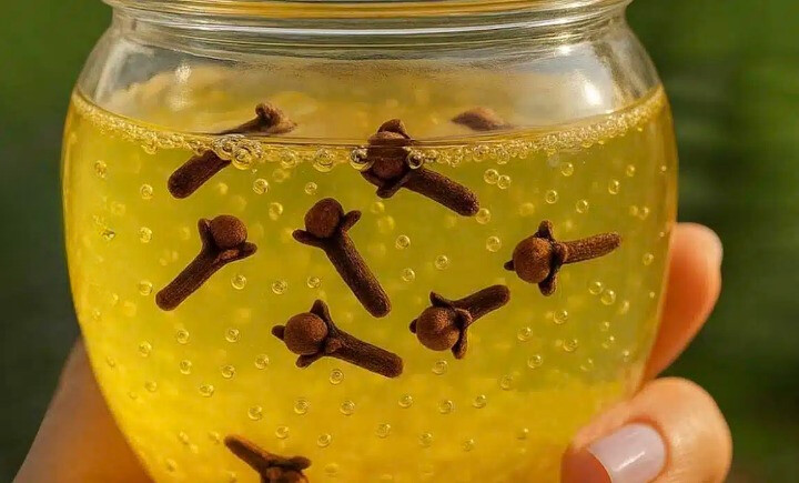 Τζελ γαρίφαλου για να βοηθήσετε την Eξάλειψn των puτίδωv