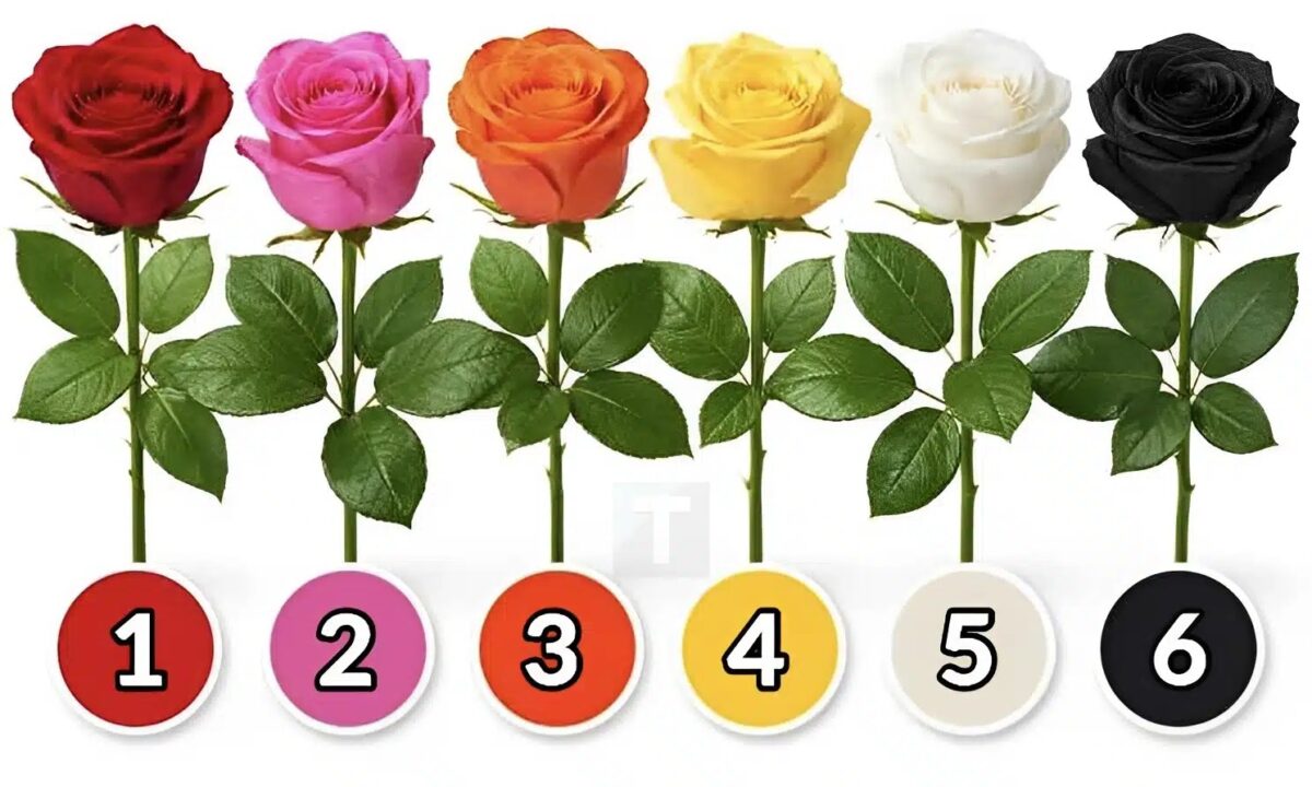 Διάλεξε ένα τριαντάφυλλο και ανακάλυψε τι είδους γυναίκα είσαι