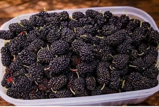 Το έχεις δοκιμάσει ποτέ; Ξέρετε πώς λέγεται; Αυτό το εποχιακό φρούτο βελτιώνει την όραση και ρυθμίζει την αρτηριακή πίεση, αλλά έτσι πρέπει να καταναλώνεται