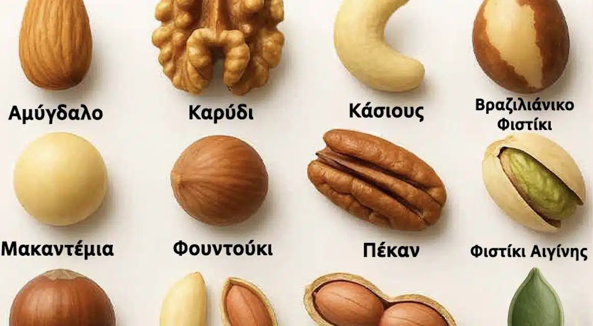 Διάλεξε έναν ξηρό καρπό για να μάθεις αν είσαι τεμπέλης ή όχι