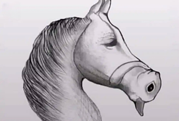 Ο μέσος άνθρωπος το βλέπει Auτo ως άλογο