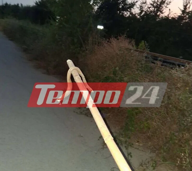 ΣΟΚ ΣΕ ΠΑΣΙΓΝΩΣΤΗ ΠΟΛΗ ΤΗΣ ΕΛΛΑΔΑΣ: ΕΧΕΙ ΓΕΜΙΣΕΙ Ο ΤΟΠΟΣ ΦΙΔΙΑ ΚΑΙ ΠΟΝΤΙΚΙΑ – ΦΟΒΟΥΝΤΑΙ ΝΑ ΑΝΟΙΞΟΥΝ ΠΟΡΤΕΣ ΚΑΙ ΠΑΡΑΘΥΡΑ ΟΙ ΚΑΤΟΙΚΟΙ ΜΗΝ ΜΠΟΥΝ ΜΕΣΑ