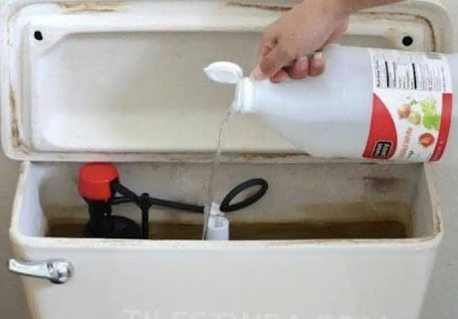 Ρίξτε ξύδι στο καζανάκι της τουαλέτας και θα εκπλαγείτε – Δεν μας τα λέει κανείς αυτά