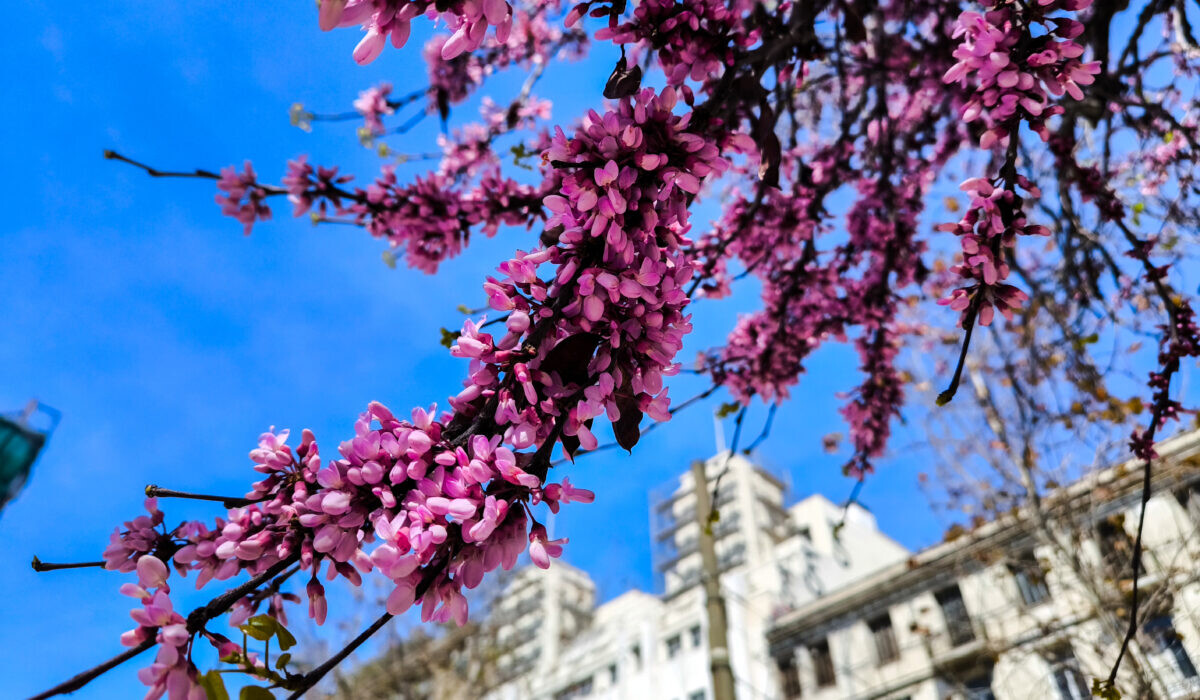 Σκέτη απογοήτευση ο καιρός το Πάσχα 2026 – Ανατροπή στην πρόγνωση