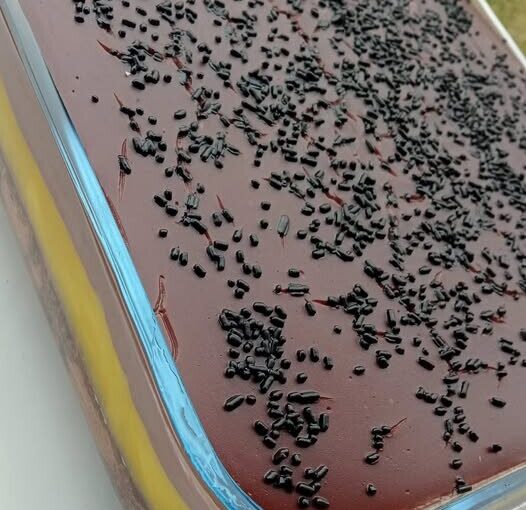 Νηστίσιμη πάστα ταψιού με σοκολάτα και πορτοκάλι: Εύκολη συνταγή