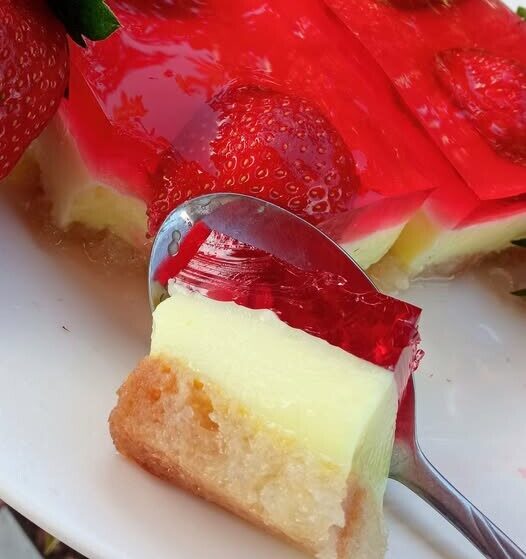 Το γλυκό ψυγείου με φρυγανιές που δεν προλαβαίνει να κρυώσει – Με 3€ υλικά και ξετρελάθηκαν όλοι!