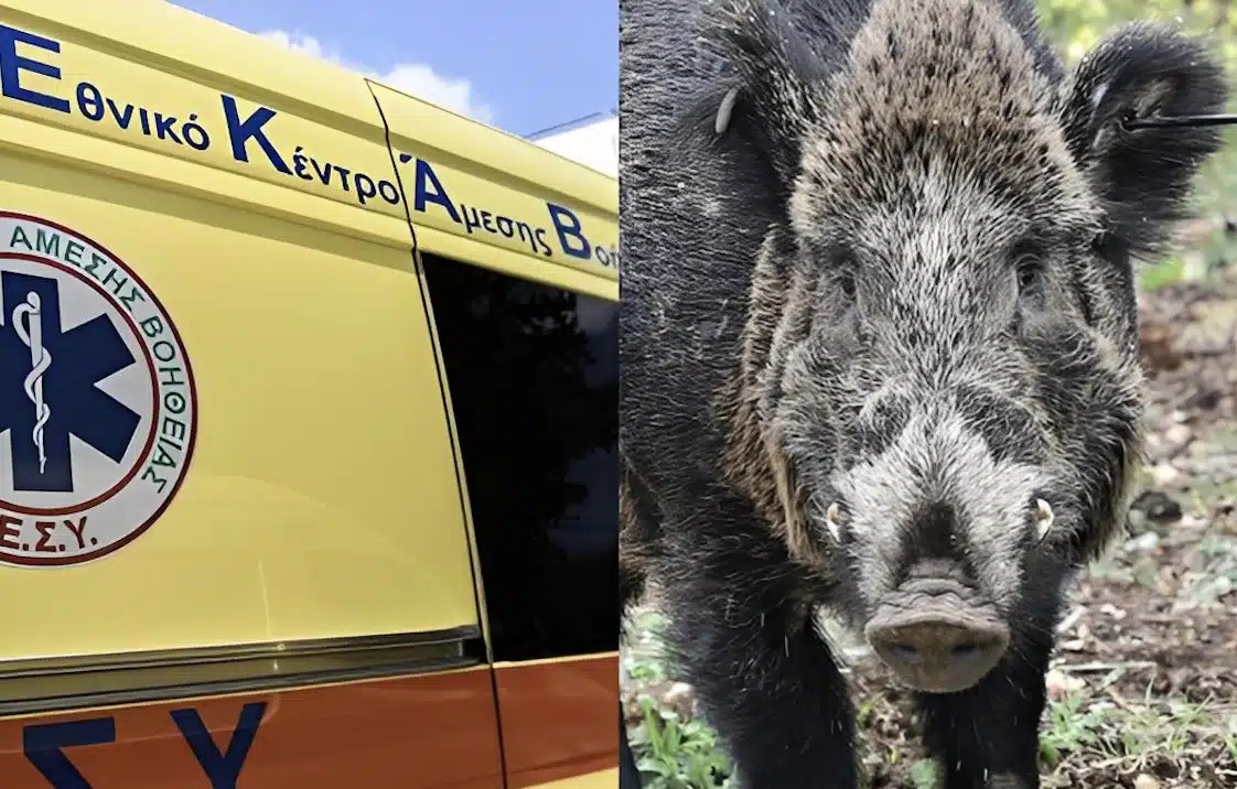 Τραγωδία: Σκοτώθηκε 24χρονος μοτοσικλετιστής μετά από σύγκρουση με αγριογούρουνο