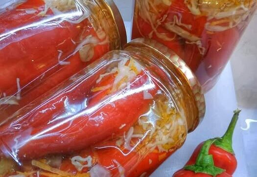 Πιπεριές Φλωρίνης γεμιστές τουρσί – Εύκολη συνταγή που διατηρείται για μήνες