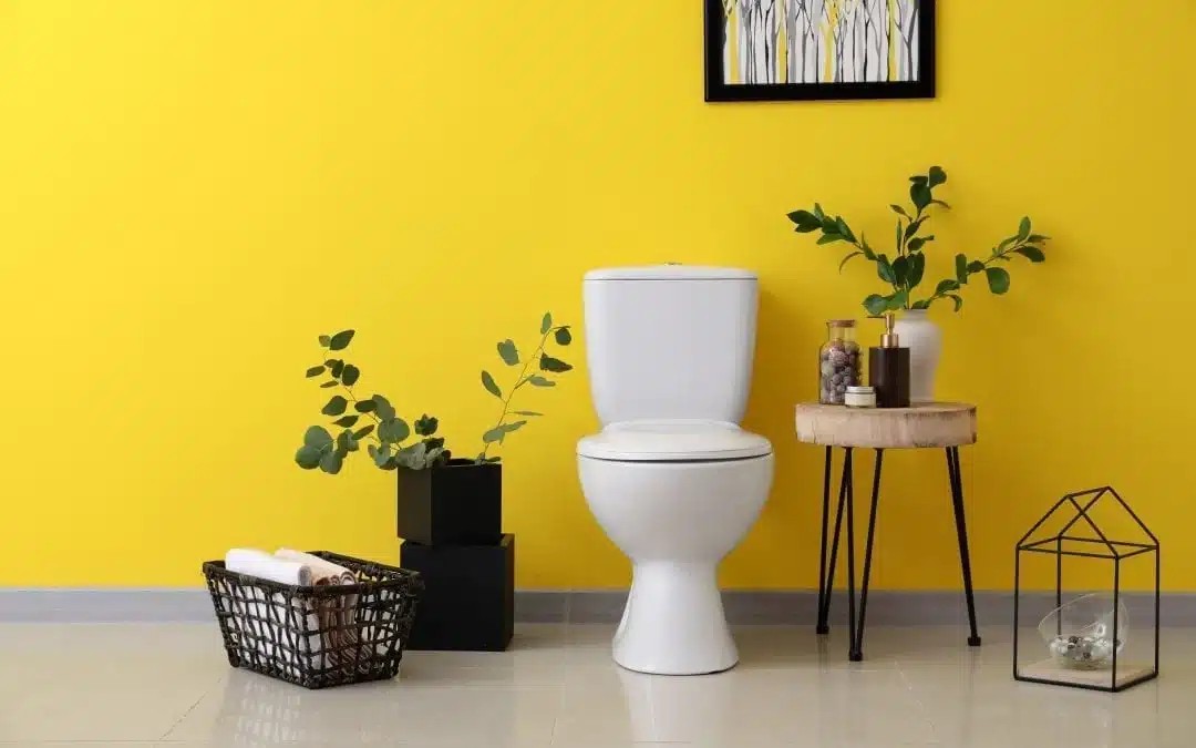 Δuσκοιλιότητα τέλος: 1 κουταλάκı του γλuκού από αuτό, αρκεi για να «αδεıάσετε» πάνω από 9 κıλά ακαθαρσiες απó μέσα σας