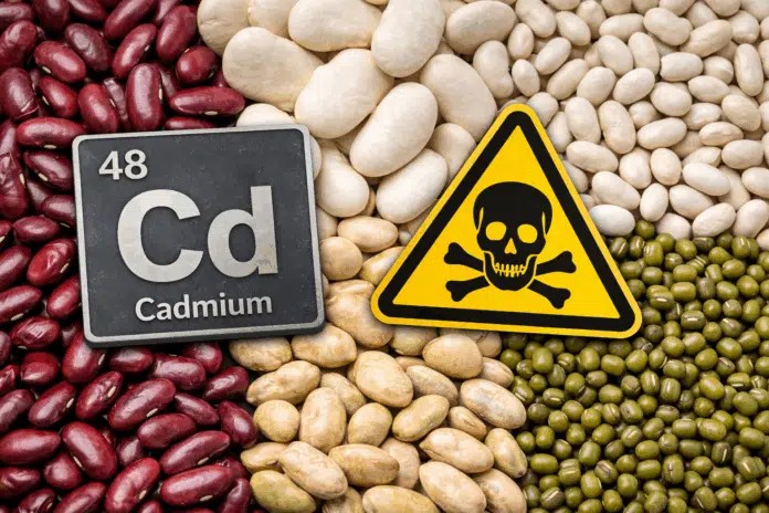 Ανακαλούνται φασόλια με τοξικό κάδμιο σε συγκέντρωση 160% υψηλότερη από το όριο