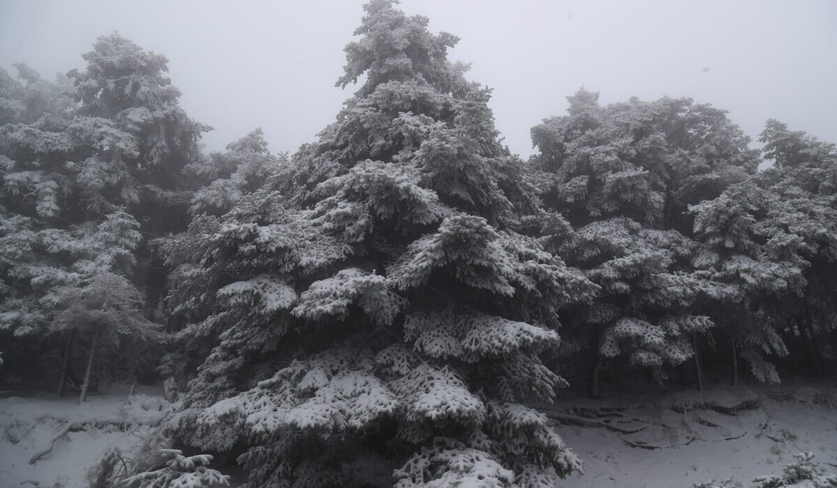 Δείτε που χιονίζει τώρα