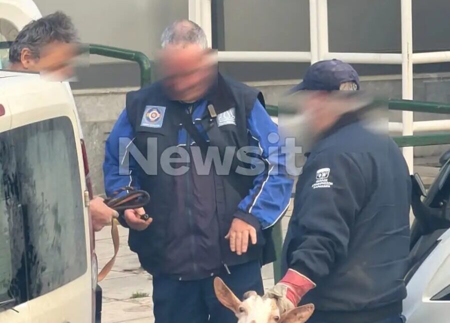 Δεν θα πιστεύετε ποιος είναι ο άντρας που το είχε παράνομο μαντρί στους Αμπελόκήπους