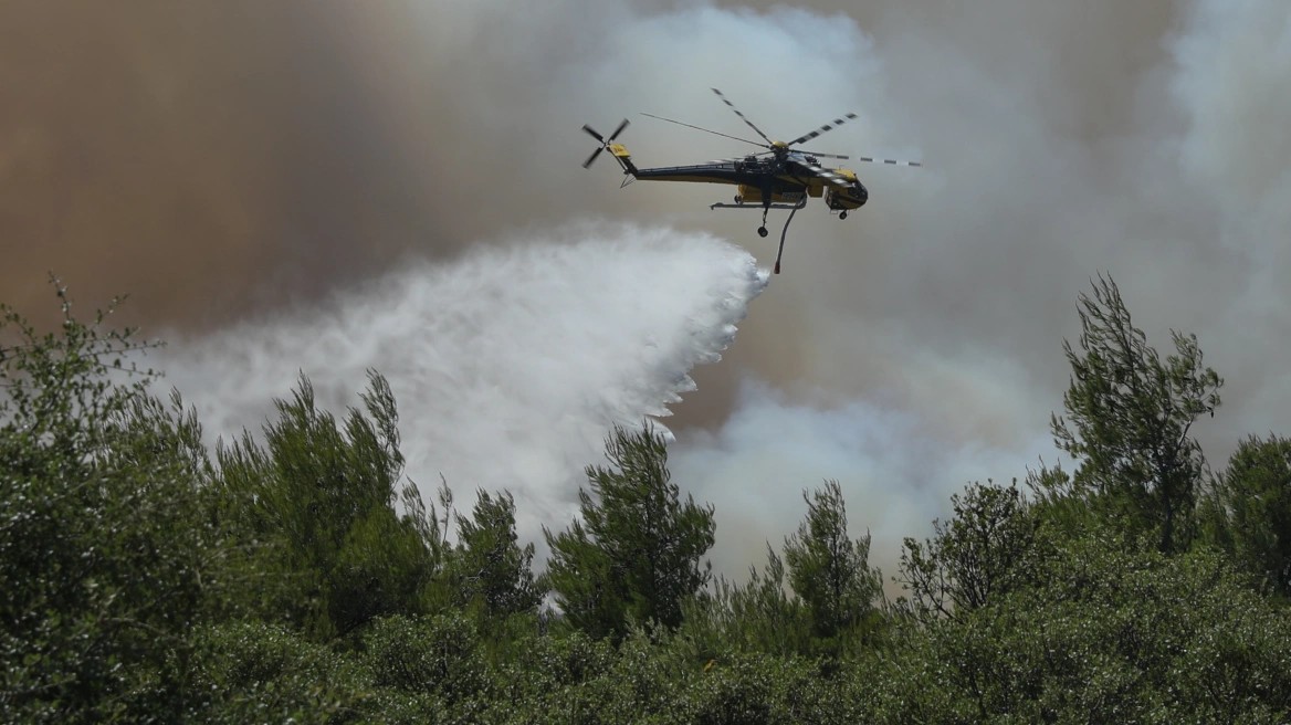 ΕΚΤΑΚΤΟ: Νέα φωτιά τώρα – Μεγάλη κινητοποίηση της Πυροσβεστικής, σε κόκκινο συναγερμό η περιοχή
