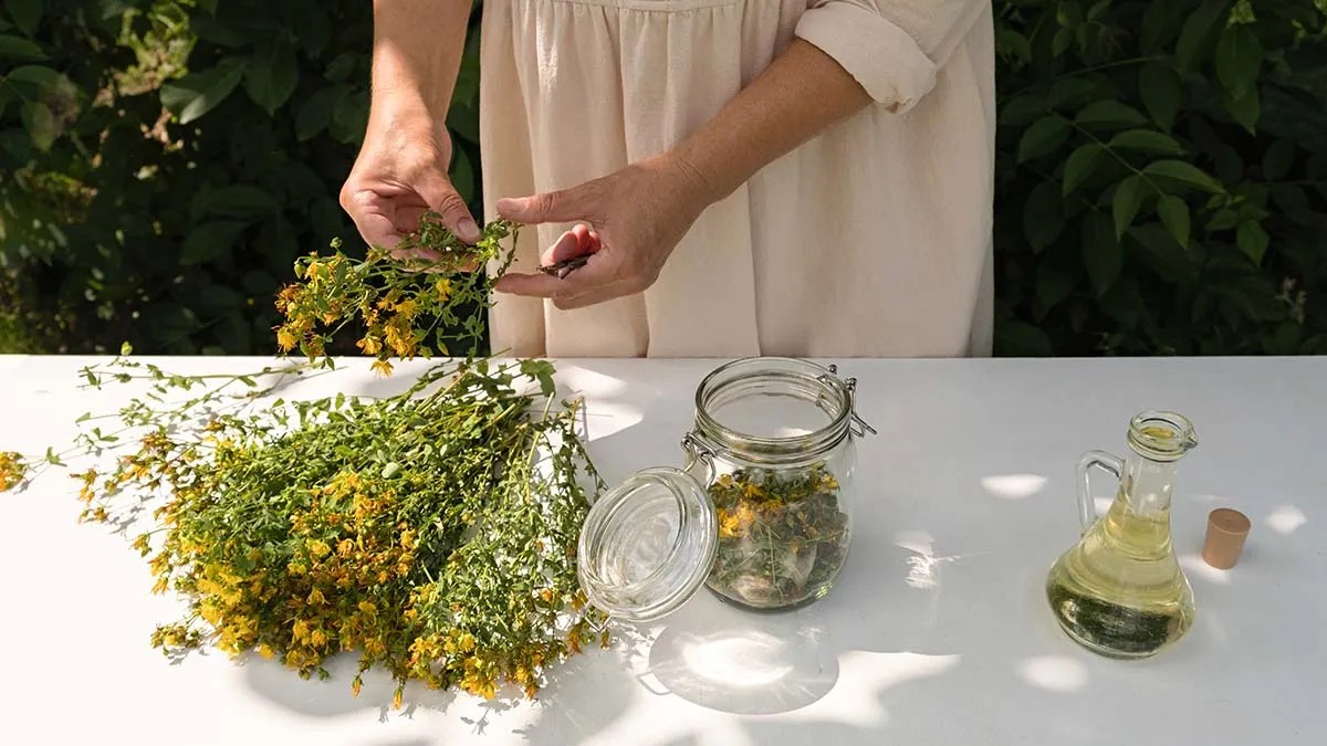 Δεν το λένε πουθενά: Το αντικαταθλιπτικό βότανο του Αγίου Ιωάννη που είναι βάλσαμο για τη διάθεση