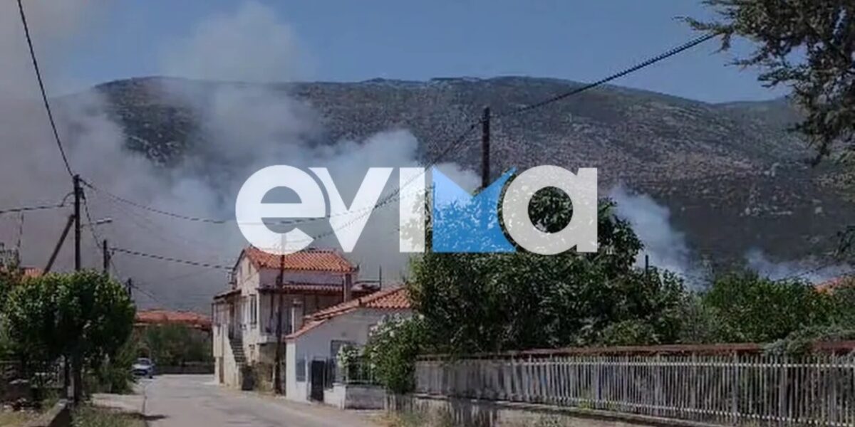 Έκτακτο: Μεγάλη φωτιά τώρα στη χώρα μας – «Κόλαση», μήνυμα 112 για εκκένωση