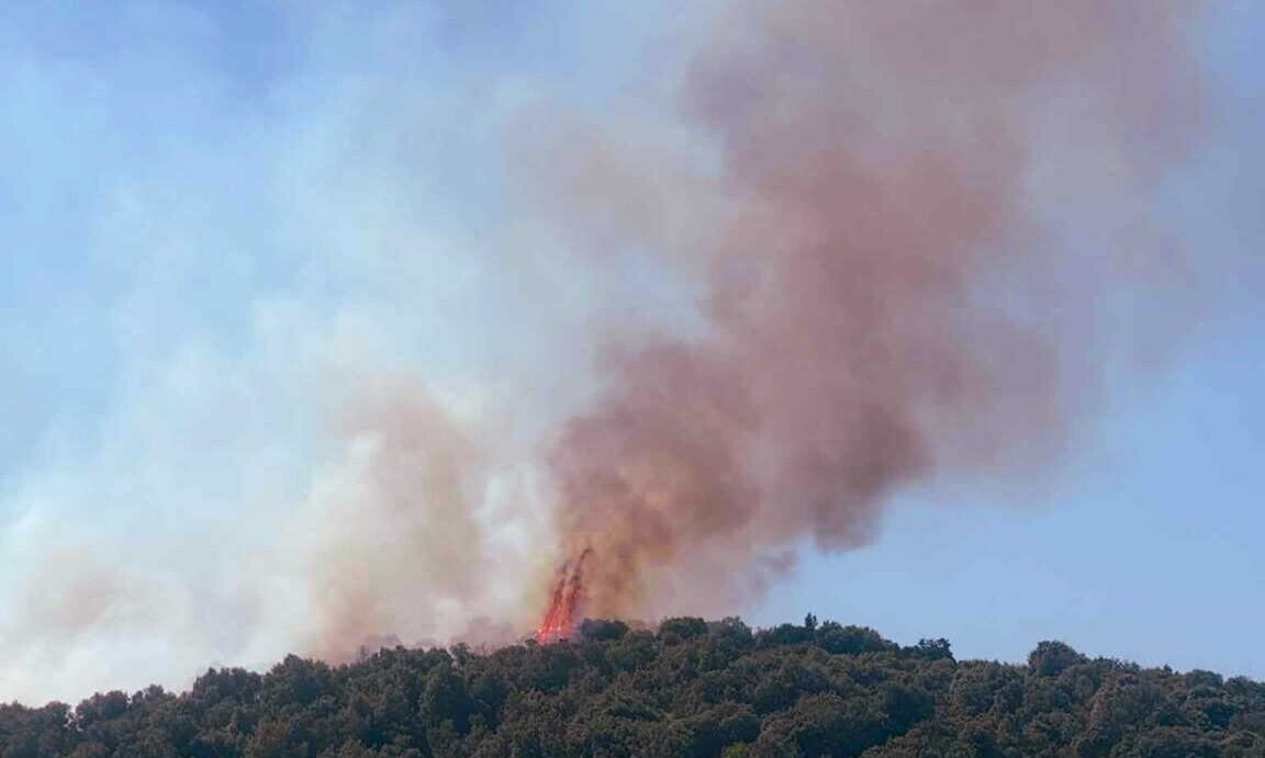 Νέα φωτιά τώρα στη χώρα μας – Ισχυρές πυροσβεστικές δυνάμεις στο σημείο