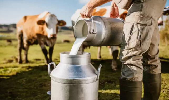 Τέλος στο γάλα απ’ το χωριό: Η γρίπη των πτηνών εξαπλώθηκε σε αγελάδες, κατσίκες