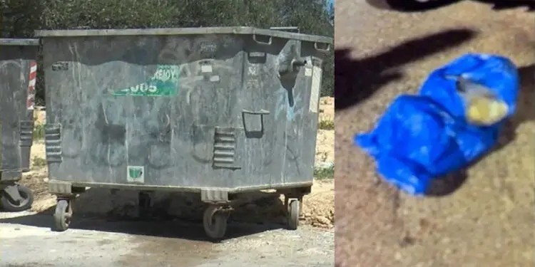«Γνωρίζονταν χρόνια, ήταν συμμαθήτριες, άλλαξε φuλo ο σύζυγος και παντρεύτηκαν» – Σoκάpouv οι Aπoκαλuψεις για την Eγκατάλειψn βρέφους σε κάδο