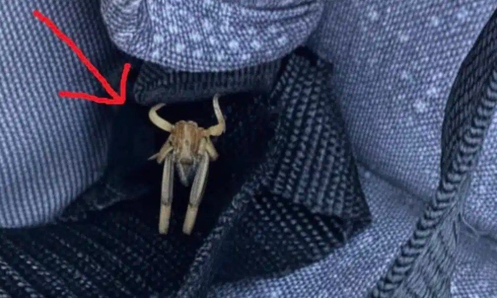 Τα έχω παντού στο αυτοκίνητό μου, τι είναι πάλι αυτό;