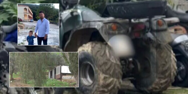 «Το είχε πλακώσει το παιδί»: Αυτή είναι η γουρούνα της τραγωδίας – Συγγενείς την έκρυψαν σε στάνη