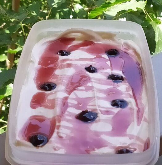 Το πιο εύκολο παγωτό μαστίχα με 4 υλικά – Χωρίς παγωτομηχανή!