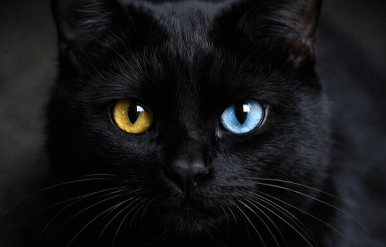 Αυτά είναι τα 3 πιο γρουσούζικα ζώδια – Μείνε μακριά τους! – “Ρουφάνε” την καλή σου τύχη