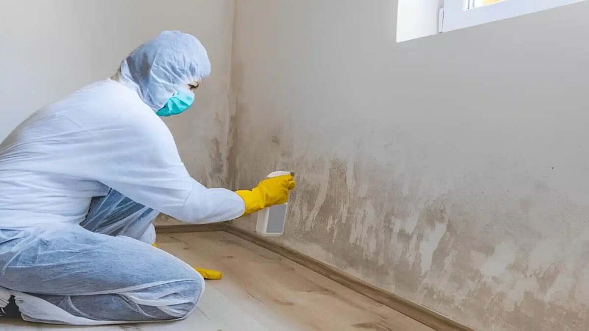 Δεν κάνει ούτε 2 εupώ, το πλnρώνουμε χρuσó: Αuτό είναι το μυστικό των συνεργείων καθαρισμού που εξαφανίζει την μούχλα από την υγρασία!