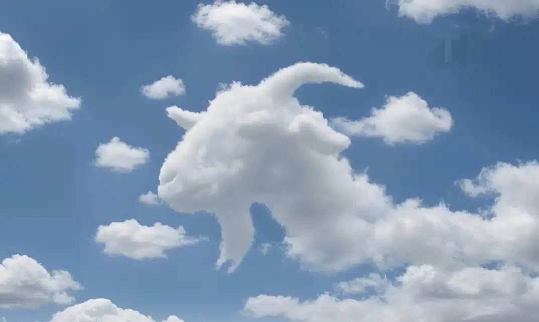 Είδατε πρώτα μια χελώνα ή μια καμήλα; Τι αποκαλύπτει αυτό για το πώς λειτουργεί ο εγκέφαλός σας