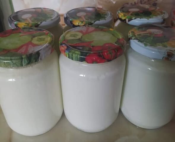 Σπιτικό γιαούρτι εύκολο και πηχτό – Πώς να το φτιάξεις χωρίς κόπο στο σπίτι