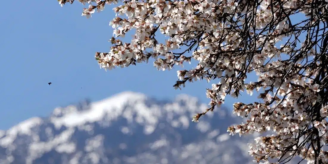 Μερομήνια 2026: Έρχεται Μάρτης «γδάρτης» – Πότε θα δούμε τα πρώτα χιόνια