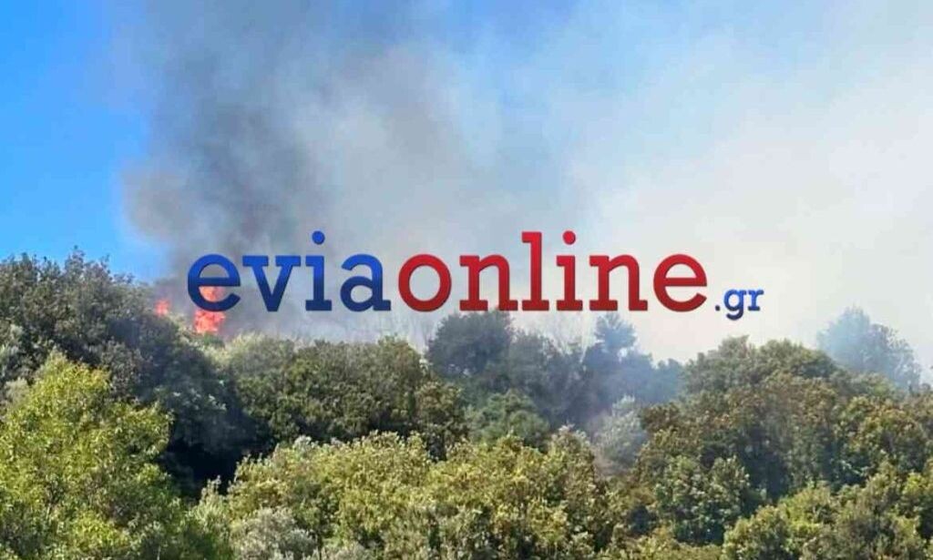 Τεράστια φωτιά τώρα κατακαίει τη χώρα μας: 9 εναέρια δίνουν μάχη – Εστάλη 112
