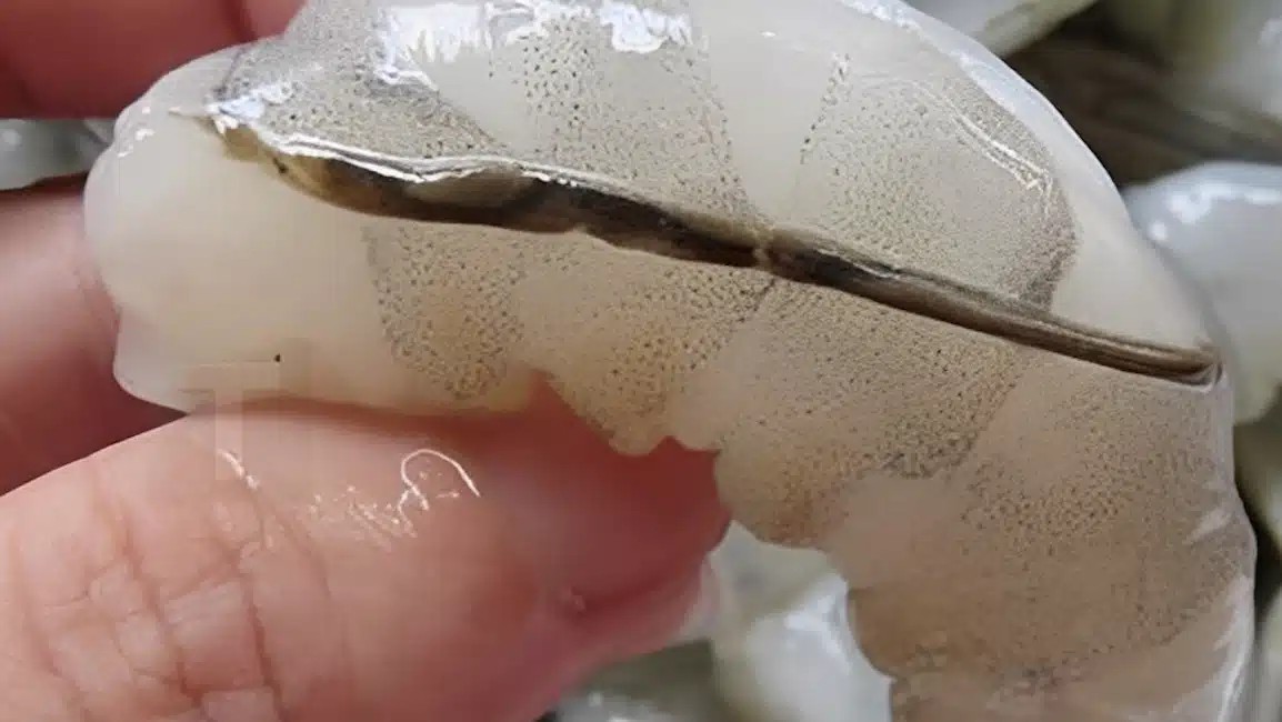 Το «φλέβα» της γαρίδας: Η λεπτομέρεια στην μαγειρική που λίγοι γνωρίζουν και πολλοί συζητούν