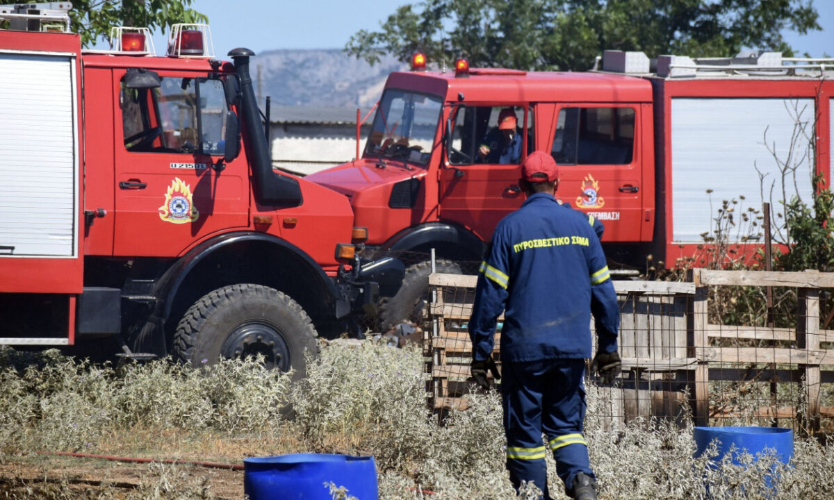 Μεγάλη φωτιά τώρα : Στη «μάχη» 44 πυροσβέστες, έξι εναέρια – «Ήχησε» το 112 για ετοιμότητα