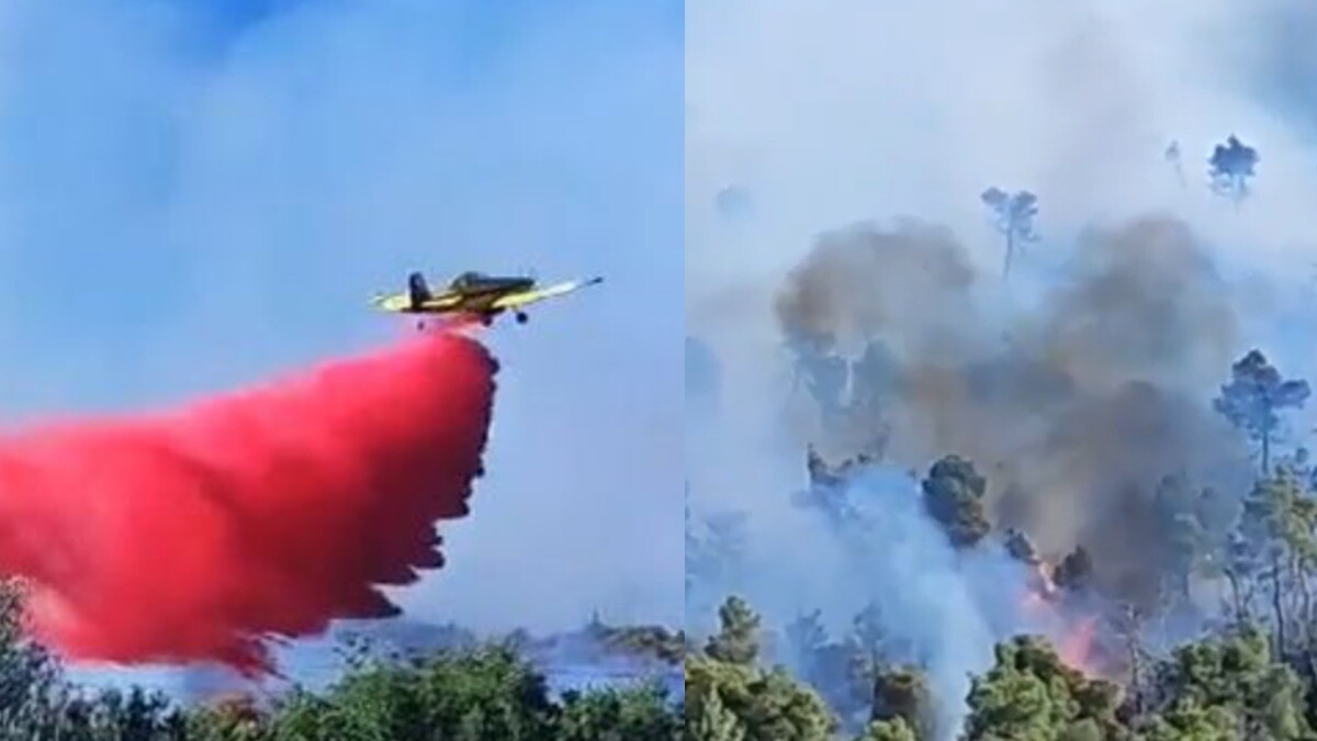 Κόλαση φωτιάς: Γιγαντιαία επιχείρηση με 155 πυροσβέστες και 22 εναέρια μέσα – Απομακρύνονται οι κάτοικοι από τα σπίτια