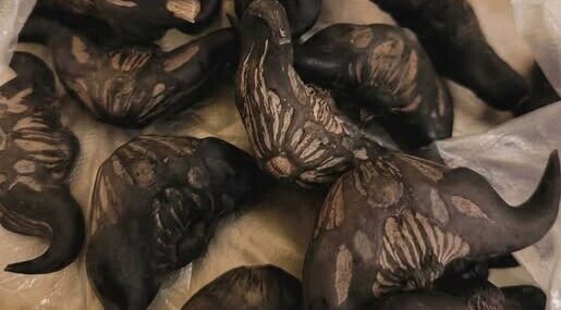 Ο γείτονας μου έδωσε μια σακούλα από αυτά. ξέρει κανείς τι είναι