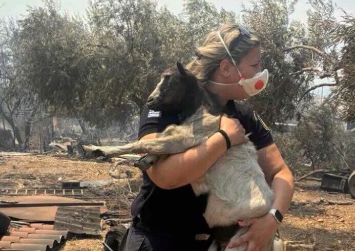 Βοιωτία: Η διοικήτρια του Α.Τ. Μάνδρας έσωσε κατσικάκι από τις φλόγες