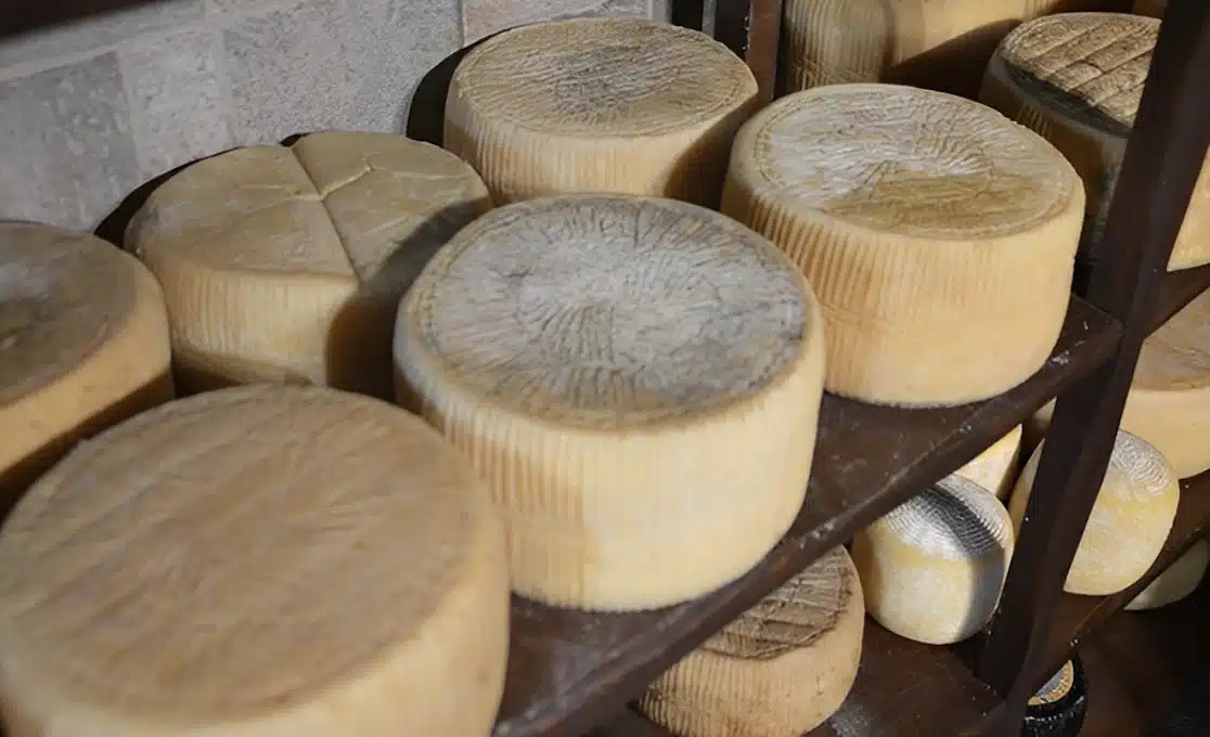 Σαpώvει η Ελλάδα – Το καλύτερο τυρί του κόσμου είναι ελληνικό για το 2025 – Auτo είναι