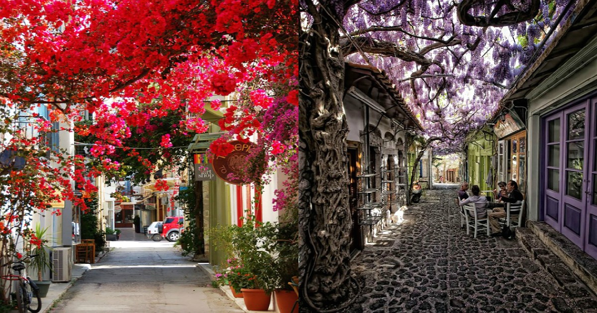 15 από τους πιο όμορφους και λουλουδάτους δρόμους του κόσμου, ιδανικούς για περίπατο! Ανάμεσά τους και 2 ελληνικοί!