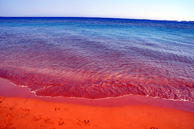 Το μυστικό της κόκκινης παραλίας της Κεφαλονιάς που ομορφαίνει τις γυναίκες χωρίς το παραμικρό κόστος