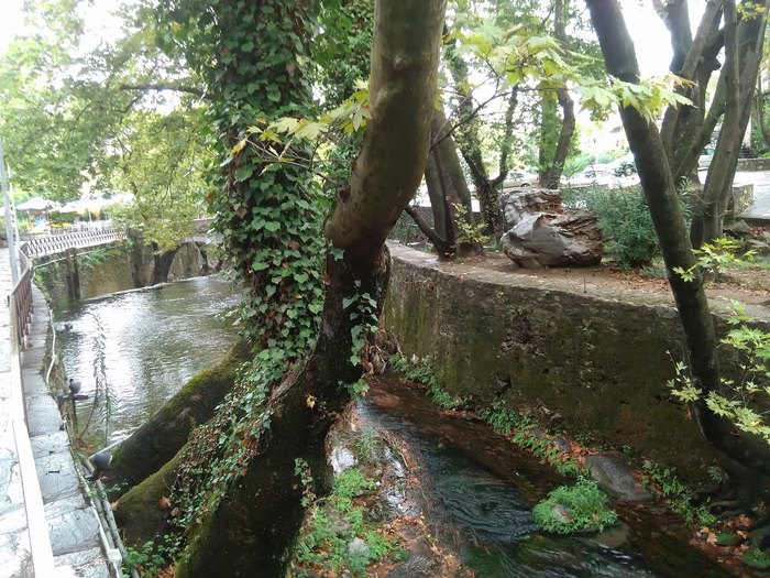 Η Ελληνική πόλη με τους νερόμυλους, τους καταρράκτες, τα πέτρινα γεφύρια και τα τεράστια αιωνόβια πλατάνια. Παραμυθένια! Η Ελληνική πόλη με τους νερόμυλους, τους καταρράκτες, τα πέτρινα γεφύρια και τα τεράστια αιωνόβια πλατάνια. Παραμυθένια!