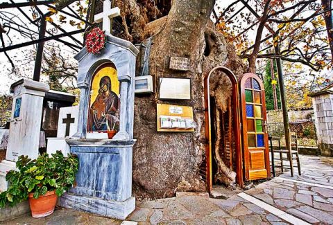 Μοναδικό στο είδος του στην Ελλάδα: Το Εκκλησάκι της Παναγίας που βρίσκεται μέσα στην κουφάλα ενός τεράστιου πλατάνου!
