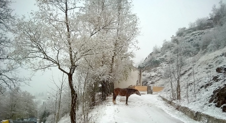 Στα λευκά ντύθηκαν τα ορεινά Τρίκαλα – Έπεσε το πρώτο χιόνι και το τοπίο σήμερα είναι μαγευτικό