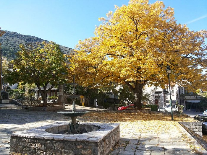 antipalo-deos-tis-arachovas-ena-magiko-chorioudaki-25-ores-apo-tin-athina