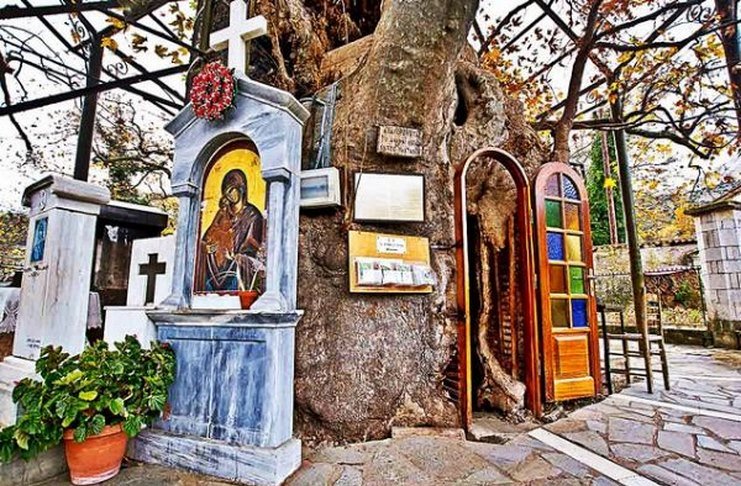 Μοναδικό στην Ελλάδα: Το Εκκλησάκι της Παναγίας που βρίσκεται μέσα σε έναν τεράστιο πλάτανο!