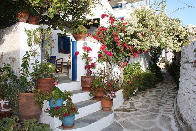 Η «μικρή κυρία» των Κυκλάδων: Το νησάκι των 300 κατοίκων με την σπάνια ομορφιά που λάτρεψε και ύμνησε ο Ελύτης