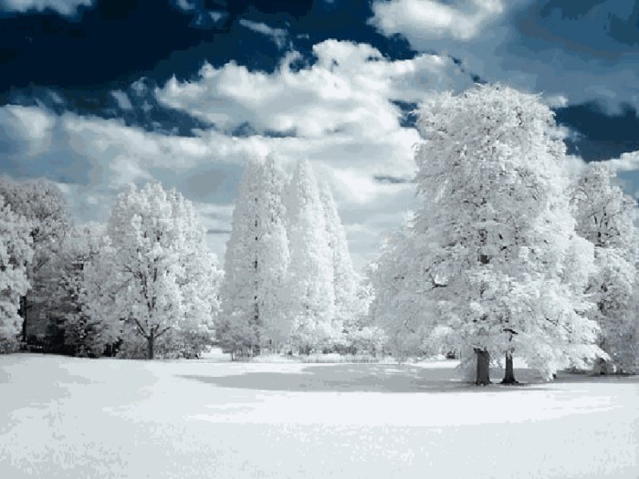 Το πιο ορεινό χωριό στην Ελλάδα ζωντανεύει μόνο πέντε μήνες τον χρόνο