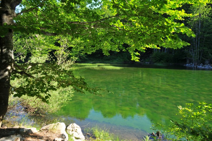 Το πιο ορεινό χωριό στην Ελλάδα ζωντανεύει μόνο πέντε μήνες τον χρόνο