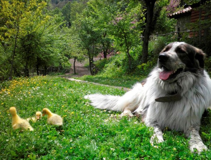 Σε απόσταση 2 ωρών από την Αθήνα υπάρχει η "Cherryland": Ένα υπέροχο χωριό βγαλμένο από τα παραμύθια
